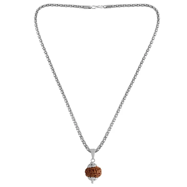 10_Mukhi_Rudraksha_Pendant_With_Chain_|_For_Men_&_Women_Natural_&_Certified