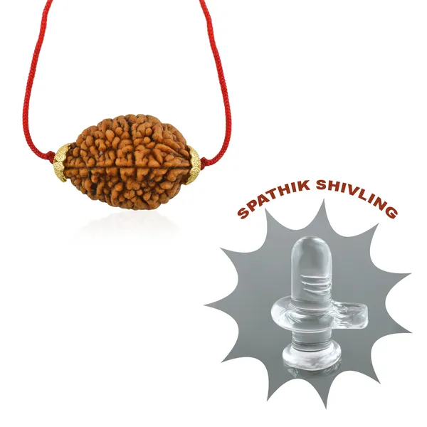 2_Mukhi_Nepali_Rudraksha_Gold_Plated_Pendant_With_Spetic_Crystal_Shivling_|_Astrological_Natural_&_Certified_for_Men_&_Women