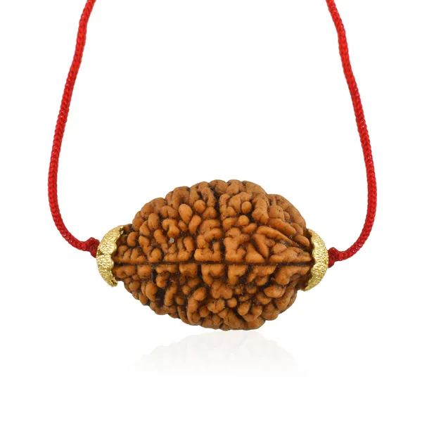 2_Mukhi_Nepali_Rudraksha_Gold_Plated_Pendant_With_Spetic_Crystal_Shivling_|_Astrological_Natural_&_Certified_for_Men_&_Women