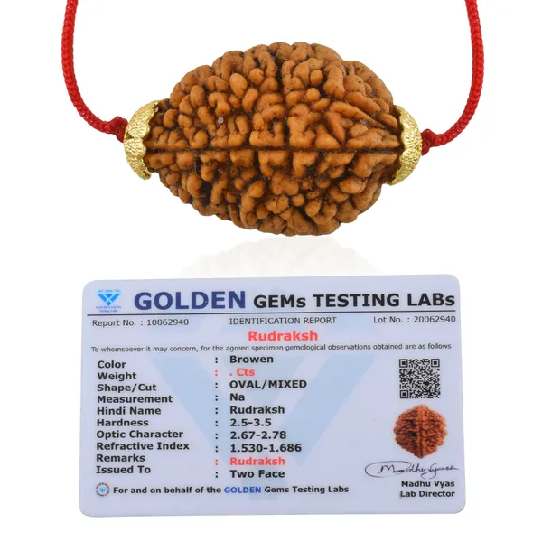 2_Mukhi_Nepali_Rudraksha_Gold_Plated_Pendant_With_Spetic_Crystal_Shivling_|_Astrological_Natural_&_Certified_for_Men_&_Women