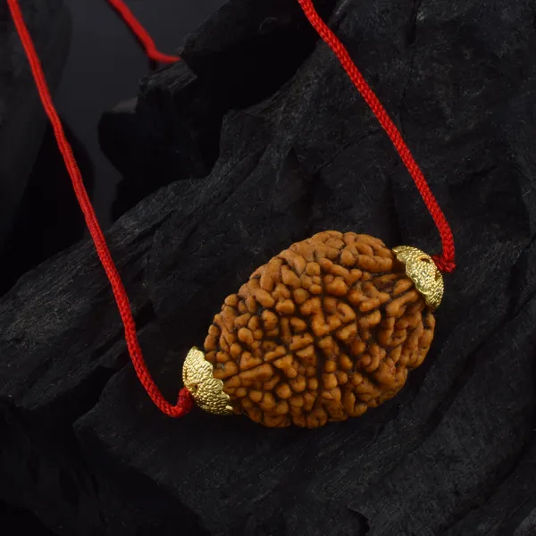 2_Mukhi_Nepali_Rudraksha_Gold_Plated_Pendant_With_Spetic_Crystal_Shivling_|_Astrological_Natural_&_Certified_for_Men_&_Women