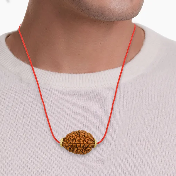 2_Mukhi_Nepali_Rudraksha_Gold_Plated_Pendant_With_Spetic_Crystal_Shivling_|_Astrological_Natural_&_Certified_for_Men_&_Women