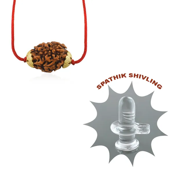 3_Mukhi_Nepali_Rudraksha_Gold_Plated_Pendant_With_Spetic_Crystal_Shivling_|_Astrological_Natural_&_Certified_for_Men_&_Women