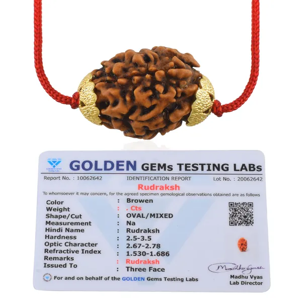 3_Mukhi_Nepali_Rudraksha_Gold_Plated_Pendant_With_Spetic_Crystal_Shivling_|_Astrological_Natural_&_Certified_for_Men_&_Women