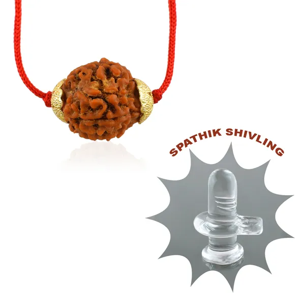 4_Mukhi_Nepali_Rudraksha_Gold_Plated_Pendant_With_Spetic_Crystal_Shivling_|_Astrological_Natural_&_Certified_for_Men_&_Women