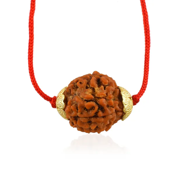 4_Mukhi_Nepali_Rudraksha_Gold_Plated_Pendant_With_Spetic_Crystal_Shivling_|_Astrological_Natural_&_Certified_for_Men_&_Women