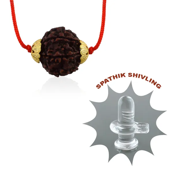 6_Mukhi_Nepali_Rudraksha_Gold_Plated_Pendant_With_Spetic_Crystal_Shivling_|_Astrological_Natural_&_Certified_for_Men_&_Women