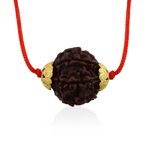 6_Mukhi_Nepali_Rudraksha_Gold_Plated_Pendant_With_Spetic_Crystal_Shivling_|_Astrological_Natural_&_Certified_for_Men_&_Women