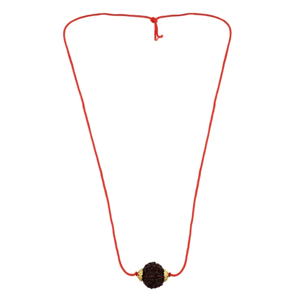 6_Mukhi_Nepali_Rudraksha_Gold_Plated_Pendant_With_Spetic_Crystal_Shivling_|_Astrological_Natural_&_Certified_for_Men_&_Women