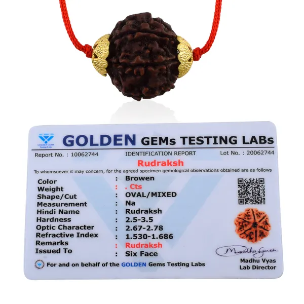 6_Mukhi_Nepali_Rudraksha_Gold_Plated_Pendant_With_Spetic_Crystal_Shivling_|_Astrological_Natural_&_Certified_for_Men_&_Women