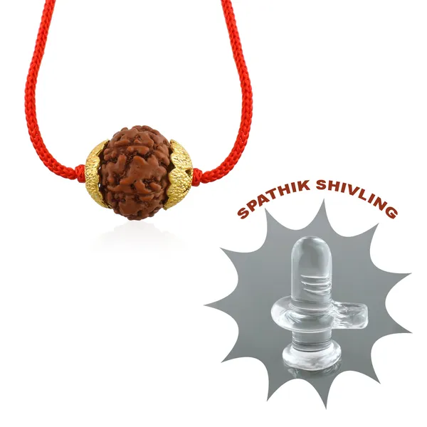7_Mukhi_Nepali_Rudraksha_Gold_Plated_Pendant_With_Spetic_Crystal_Shivling_|_Astrological_Natural_&_Certified_for_Men_&_Women
