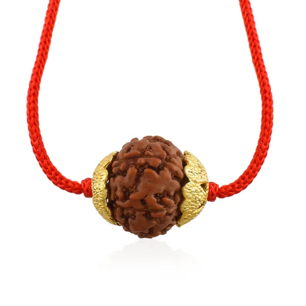 7_Mukhi_Nepali_Rudraksha_Gold_Plated_Pendant_With_Spetic_Crystal_Shivling_|_Astrological_Natural_&_Certified_for_Men_&_Women
