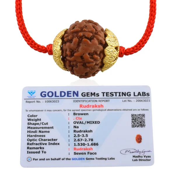 7_Mukhi_Nepali_Rudraksha_Gold_Plated_Pendant_With_Spetic_Crystal_Shivling_|_Astrological_Natural_&_Certified_for_Men_&_Women