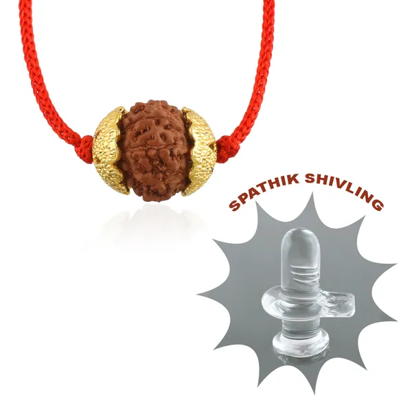 9_Mukhi_Nepali_Rudraksha_gold_Plated_Pendant_With_Spetic_Crystal_Shivling_|_Astrological_Natural_&_Certified_for_Men_&_Women