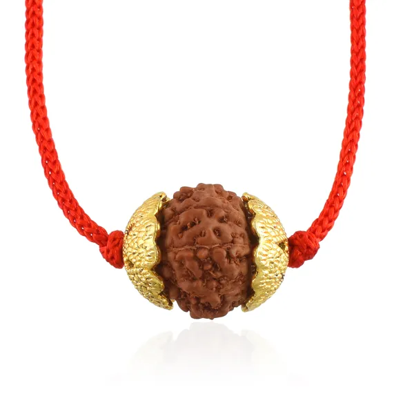 9_Mukhi_Nepali_Rudraksha_gold_Plated_Pendant_With_Spetic_Crystal_Shivling_|_Astrological_Natural_&_Certified_for_Men_&_Women