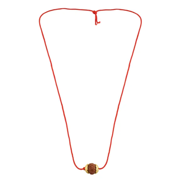 9_Mukhi_Nepali_Rudraksha_gold_Plated_Pendant_With_Spetic_Crystal_Shivling_|_Astrological_Natural_&_Certified_for_Men_&_Women