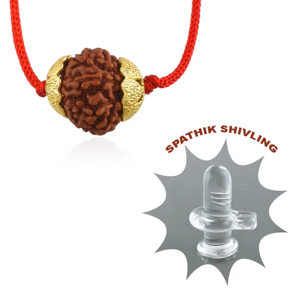 10_Mukhi_Nepali_Rudraksha_Gold_Plated_Pendant_With_Spetic_Crystal_Shivling_|_Astrological_Natural_&_Certified_for_Men_&_Women