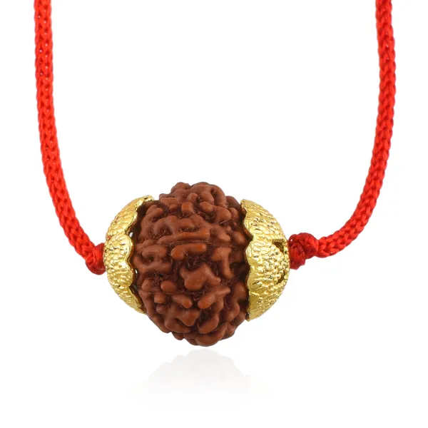 10_Mukhi_Nepali_Rudraksha_Gold_Plated_Pendant_With_Spetic_Crystal_Shivling_|_Astrological_Natural_&_Certified_for_Men_&_Women