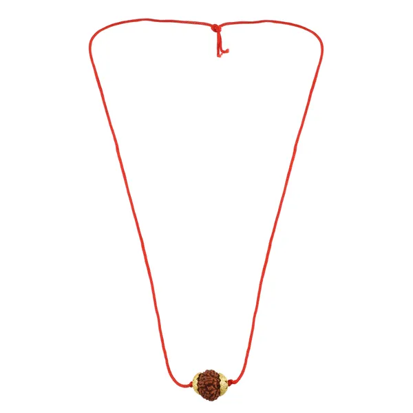 10_Mukhi_Nepali_Rudraksha_Gold_Plated_Pendant_With_Spetic_Crystal_Shivling_|_Astrological_Natural_&_Certified_for_Men_&_Women