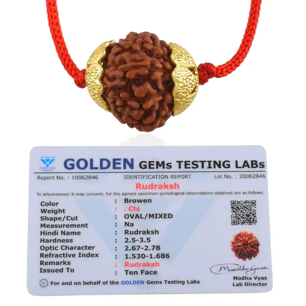 10_Mukhi_Nepali_Rudraksha_Gold_Plated_Pendant_With_Spetic_Crystal_Shivling_|_Astrological_Natural_&_Certified_for_Men_&_Women