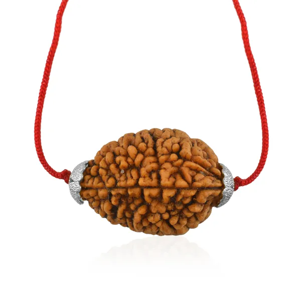2_Mukhi_Nepali_Rudraksha_Silver_Plated_Pendant_With_Spetic_Crystal_Shivling_|_Astrological_Natural_&_Certified_for_Men_&_Women