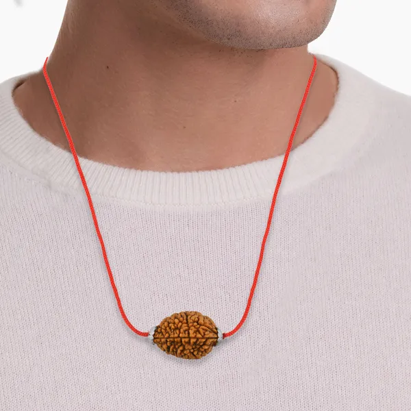 2_Mukhi_Nepali_Rudraksha_Silver_Plated_Pendant_With_Spetic_Crystal_Shivling_|_Astrological_Natural_&_Certified_for_Men_&_Women
