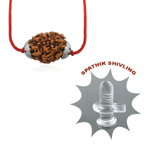 3_Mukhi_Nepali_Rudraksha_Silver_Plated_Pendant_With_Spetic_Crystal_Shivling_|_Astrological_Natural_&_Certified_for_Men_&_Women