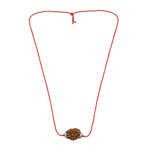 3_Mukhi_Nepali_Rudraksha_Silver_Plated_Pendant_With_Spetic_Crystal_Shivling_|_Astrological_Natural_&_Certified_for_Men_&_Women