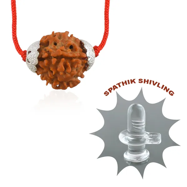 4_Mukhi_Nepali_Rudraksha_Silver_Plated_Pendant_With_Spetic_Crystal_Shivling_|_Astrological_Natural_&_Certified_for_Men_&_Women