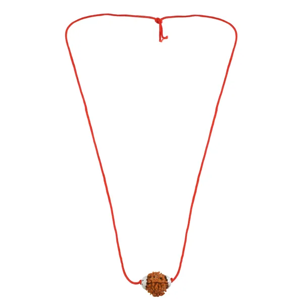 4_Mukhi_Nepali_Rudraksha_Silver_Plated_Pendant_With_Spetic_Crystal_Shivling_|_Astrological_Natural_&_Certified_for_Men_&_Women