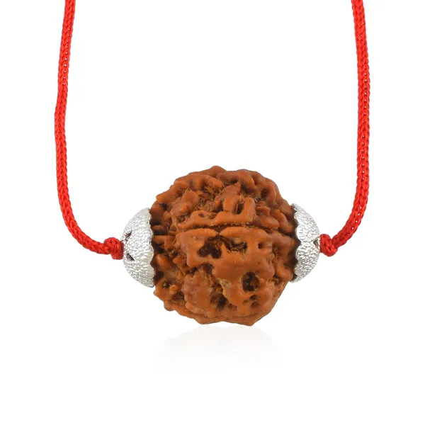 5_Mukhi_Nepali_Rudraksha_silver_Plated_Pendant_With_Spetic_Crystal_Shivling_|_Astrological_Natural_&_Certified_for_Men_&_Women
