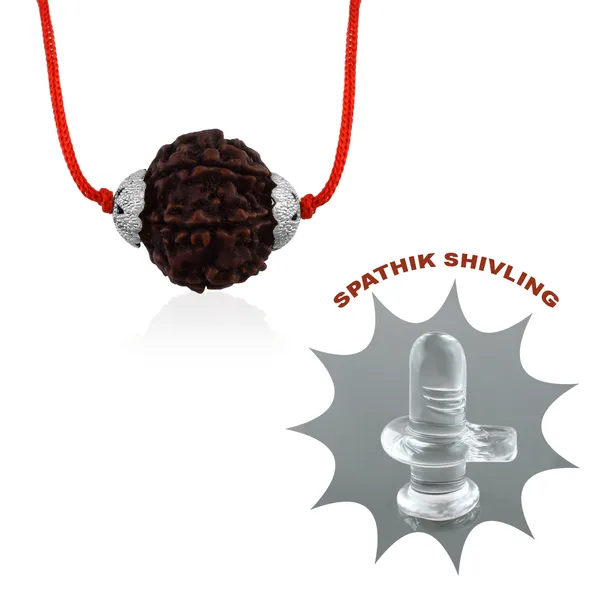 6_Mukhi_Nepali_Rudraksha_Silver_Plated_Pendant_With_Spetic_Crystal_Shivling_|_Astrological_Natural_&_Certified_for_Men_&_Women