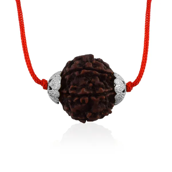 6_Mukhi_Nepali_Rudraksha_Silver_Plated_Pendant_With_Spetic_Crystal_Shivling_|_Astrological_Natural_&_Certified_for_Men_&_Women