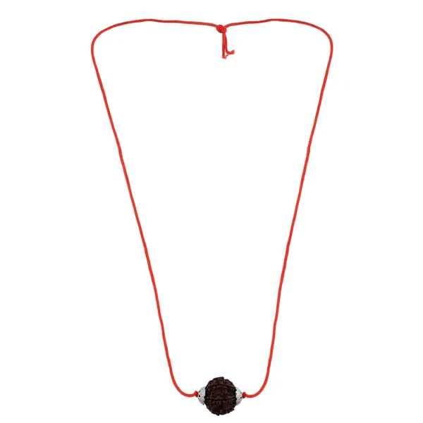 6_Mukhi_Nepali_Rudraksha_Silver_Plated_Pendant_With_Spetic_Crystal_Shivling_|_Astrological_Natural_&_Certified_for_Men_&_Women
