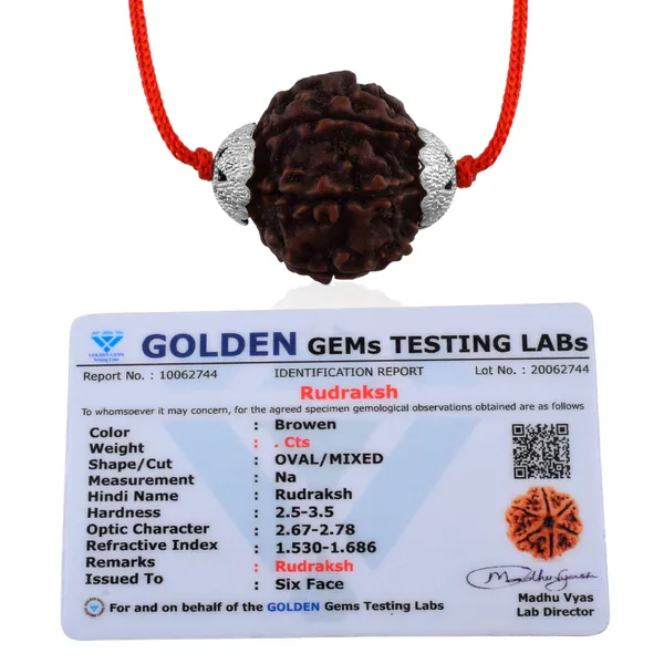 6_Mukhi_Nepali_Rudraksha_Silver_Plated_Pendant_With_Spetic_Crystal_Shivling_|_Astrological_Natural_&_Certified_for_Men_&_Women