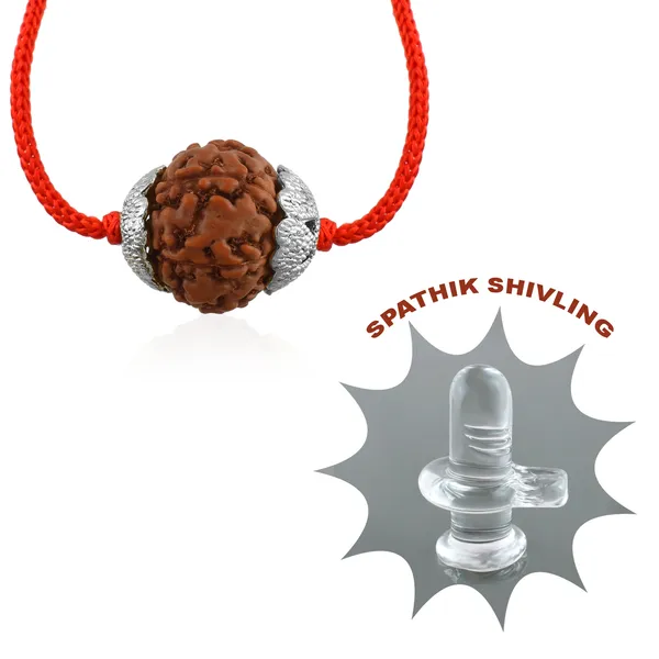 7_Mukhi_Nepali_Rudraksha_silver_Plated_Pendant_With_Spetic_Crystal_Shivling_|_Astrological_Natural_&_Certified_for_Men_&_Women