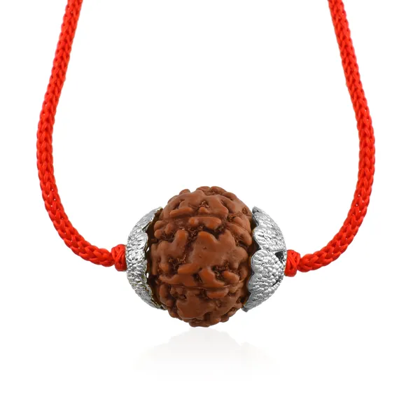 7_Mukhi_Nepali_Rudraksha_silver_Plated_Pendant_With_Spetic_Crystal_Shivling_|_Astrological_Natural_&_Certified_for_Men_&_Women