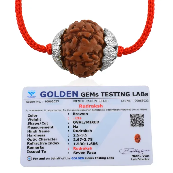 7_Mukhi_Nepali_Rudraksha_silver_Plated_Pendant_With_Spetic_Crystal_Shivling_|_Astrological_Natural_&_Certified_for_Men_&_Women
