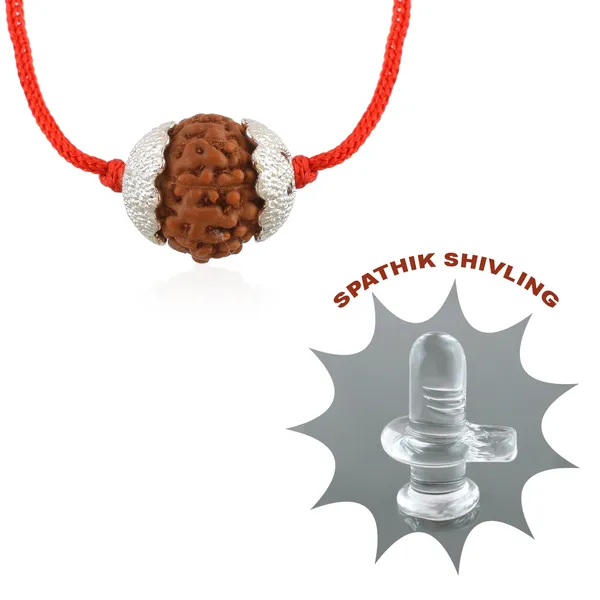 8_Mukhi_Nepali_Rudraksha_silver_Plated_Pendant_With_Spetic_Crystal_Shivling_|_Astrological_Natural_&_Certified_for_Men_&_Women