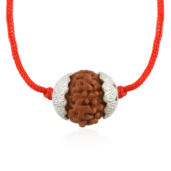 8_Mukhi_Nepali_Rudraksha_silver_Plated_Pendant_With_Spetic_Crystal_Shivling_|_Astrological_Natural_&_Certified_for_Men_&_Women