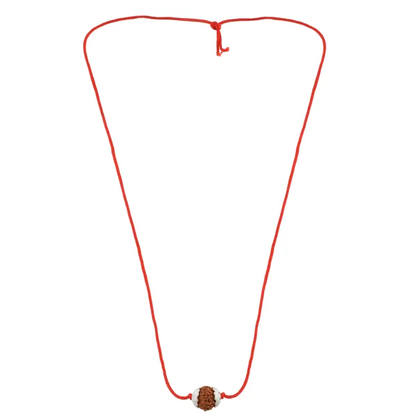 8_Mukhi_Nepali_Rudraksha_silver_Plated_Pendant_With_Spetic_Crystal_Shivling_|_Astrological_Natural_&_Certified_for_Men_&_Women