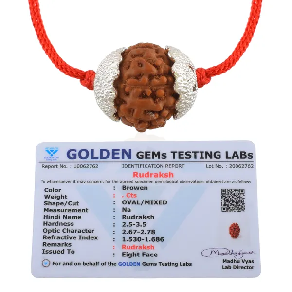 8_Mukhi_Nepali_Rudraksha_silver_Plated_Pendant_With_Spetic_Crystal_Shivling_|_Astrological_Natural_&_Certified_for_Men_&_Women