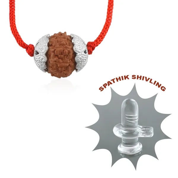 9_Mukhi_Nepali_Rudraksha_silver_Plated_Pendant_With_Spetic_Crystal_Shivling_|_Astrological_Natural_&_Certified_for_Men_&_Women