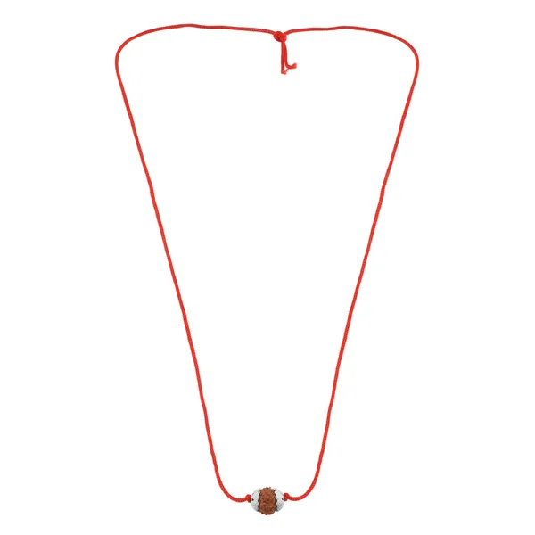 9_Mukhi_Nepali_Rudraksha_silver_Plated_Pendant_With_Spetic_Crystal_Shivling_|_Astrological_Natural_&_Certified_for_Men_&_Women