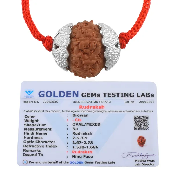 9_Mukhi_Nepali_Rudraksha_silver_Plated_Pendant_With_Spetic_Crystal_Shivling_|_Astrological_Natural_&_Certified_for_Men_&_Women