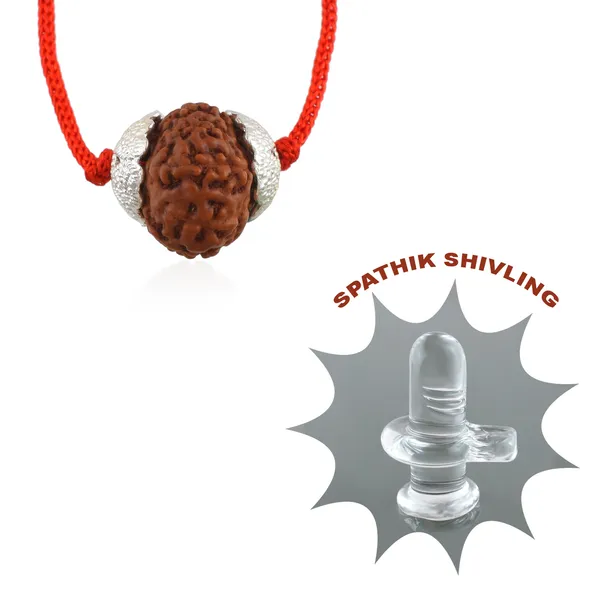 10_Mukhi_Nepali_Rudraksha_Silver_Plated_Pendant_With_Spetic_Crystal_Shivling_|_Astrological_Natural_&_Certified_for_Men_&_Women