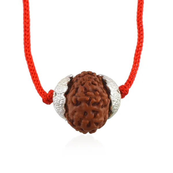 10_Mukhi_Nepali_Rudraksha_Silver_Plated_Pendant_With_Spetic_Crystal_Shivling_|_Astrological_Natural_&_Certified_for_Men_&_Women