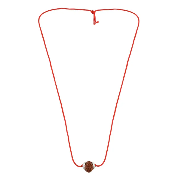 10_Mukhi_Nepali_Rudraksha_Silver_Plated_Pendant_With_Spetic_Crystal_Shivling_|_Astrological_Natural_&_Certified_for_Men_&_Women
