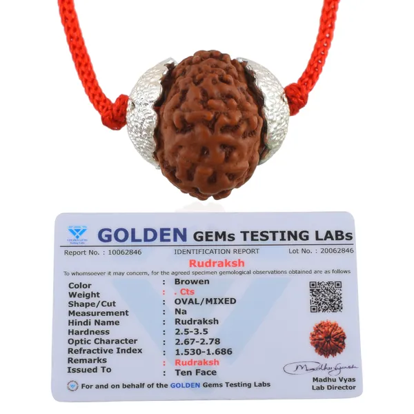 10_Mukhi_Nepali_Rudraksha_Silver_Plated_Pendant_With_Spetic_Crystal_Shivling_|_Astrological_Natural_&_Certified_for_Men_&_Women