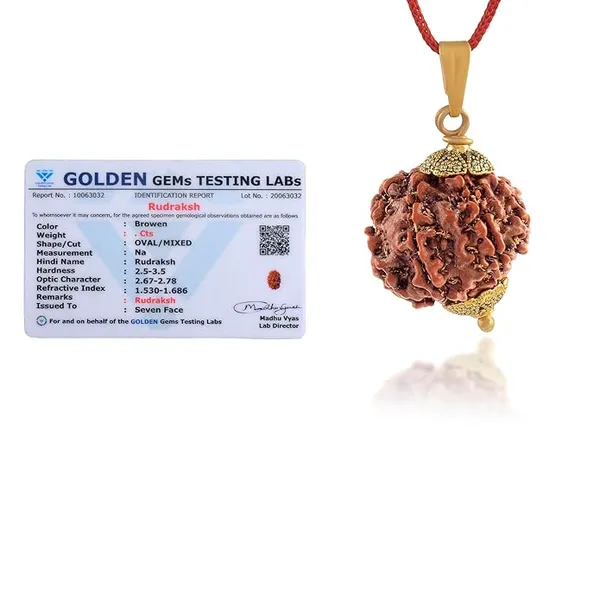 6_Mukhi_Rudraksha_Pendant_With_Red_Thread_|_For_Men_&_Women_Natural_&_Certified